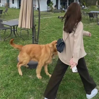 张震讲故事之鬼迷心窍